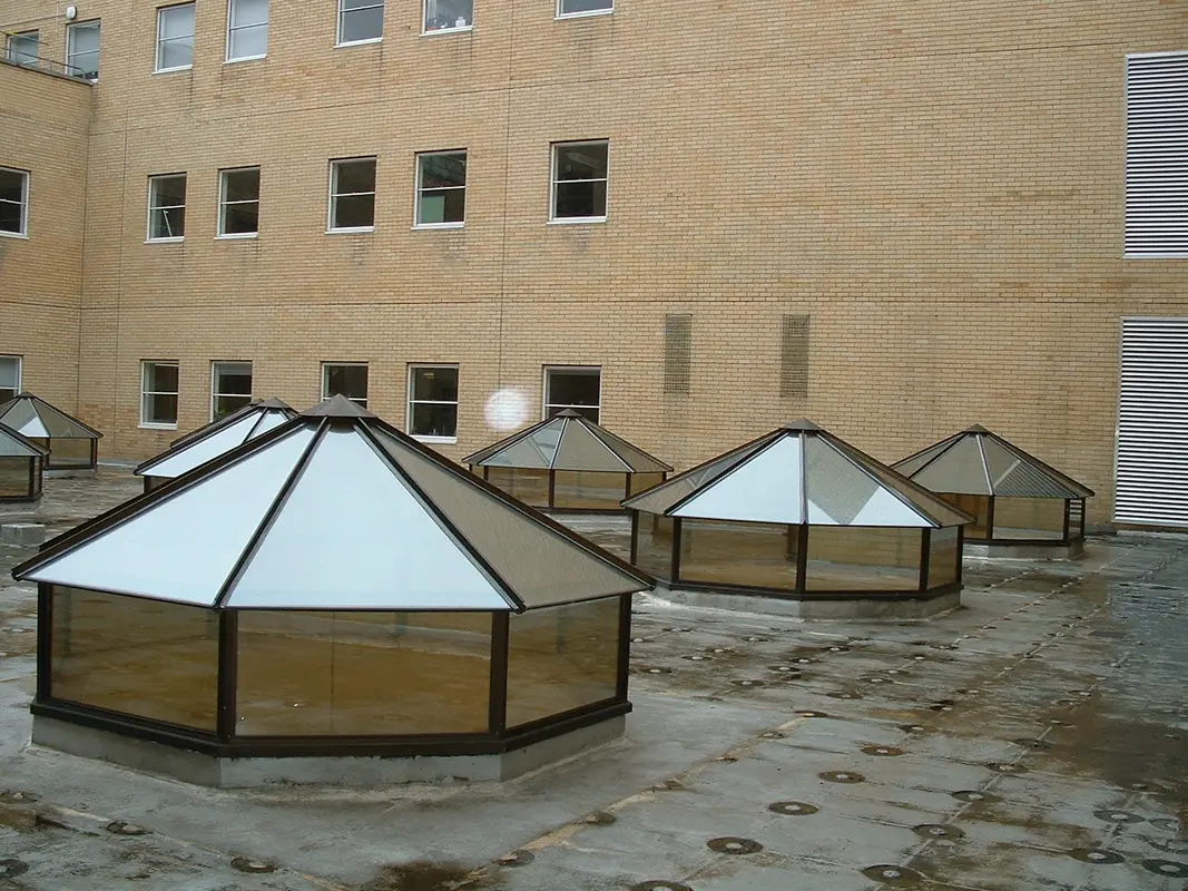 Flat Roof Skylights Manor Park