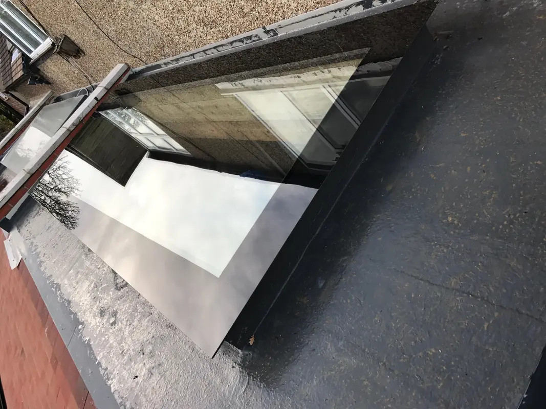 Velux Windows Manor Park